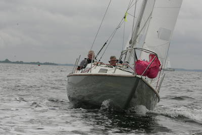 14-vincente