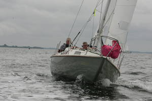14-vincente