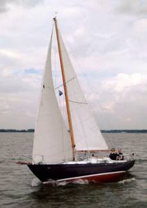 18-iris