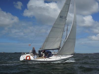 20-mordicus 2