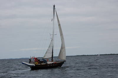 33-free-tide